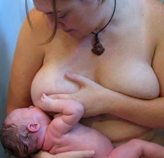 Breasts